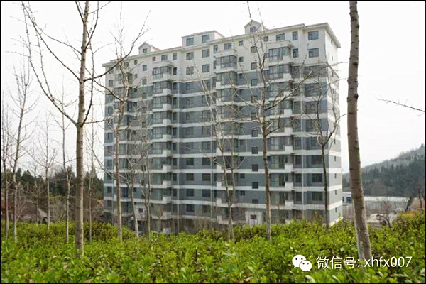 集團公司啟動自建小高層山景房銷售